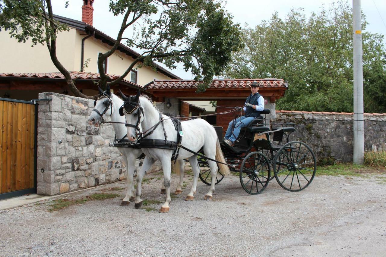 Country House Lokev Guest House Eksteriør bilde